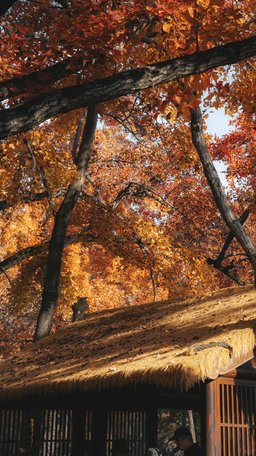 天平山，苏州色彩最丰富的秋天在这里