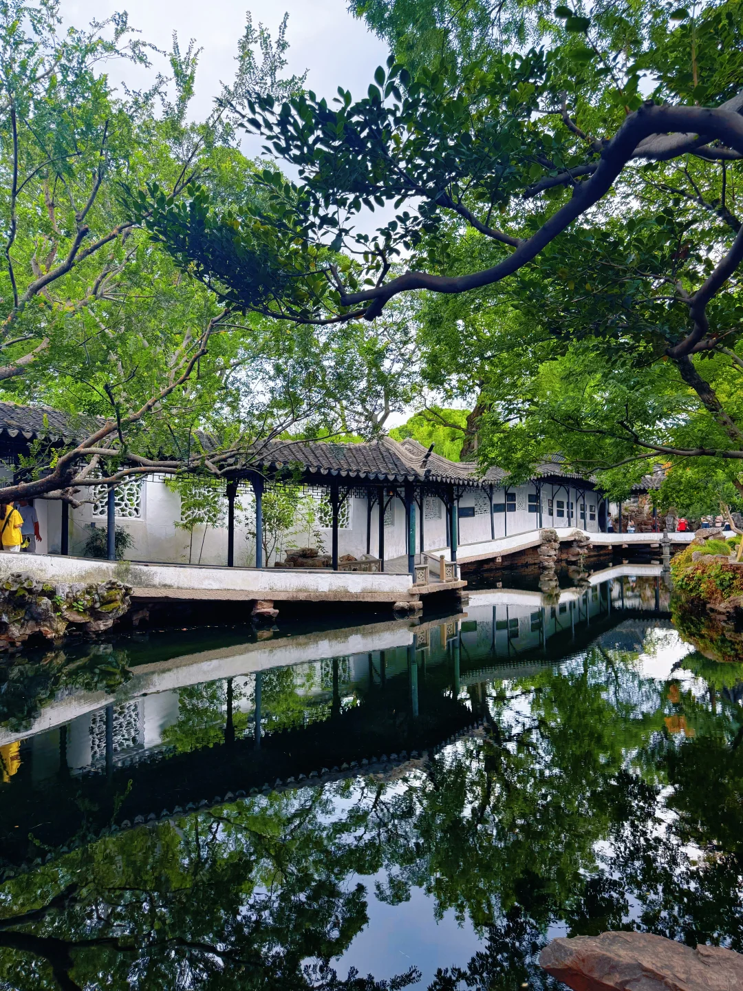 苏州真的好美啊