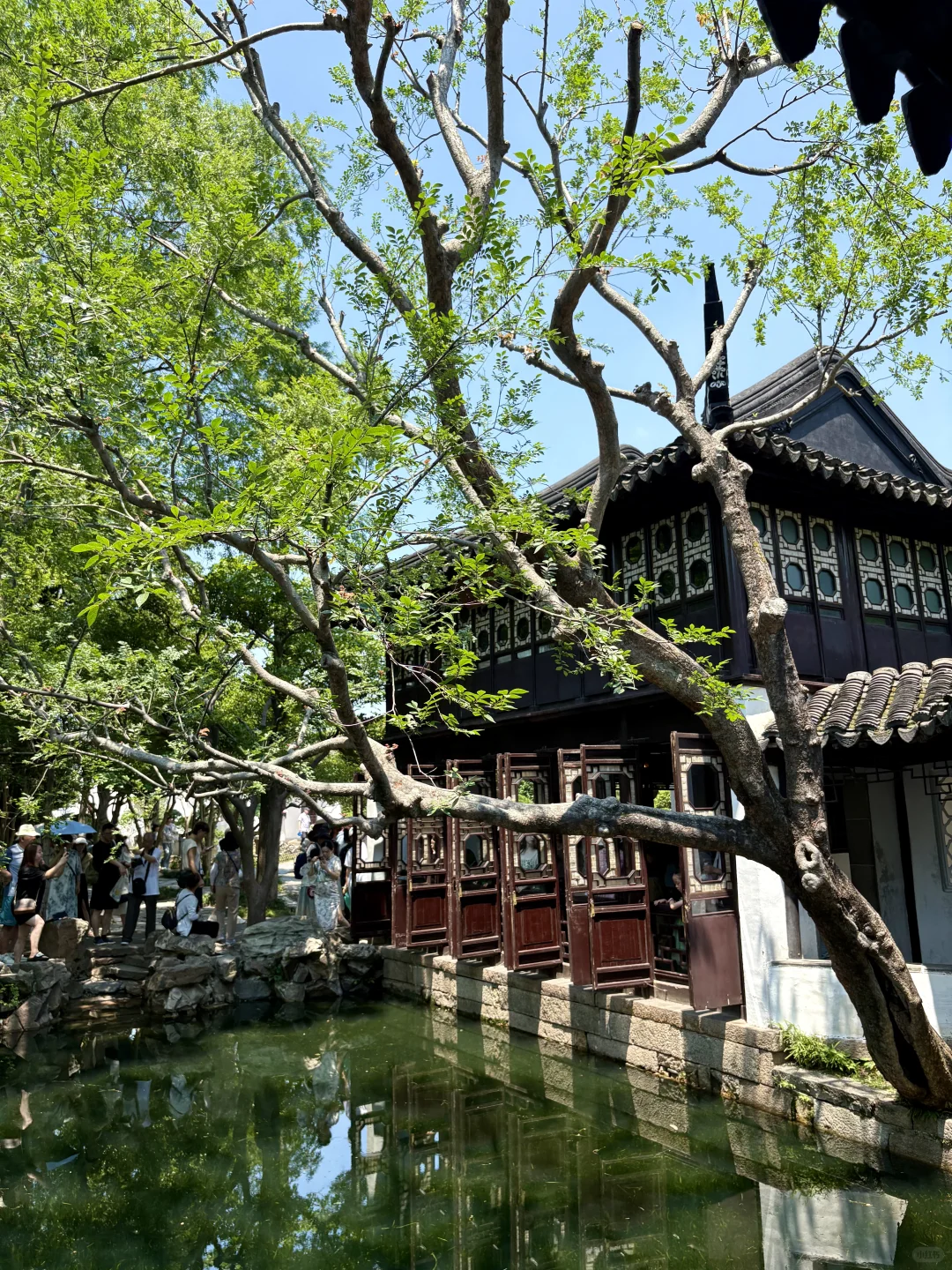 苏州一日游🫠🥵🙃