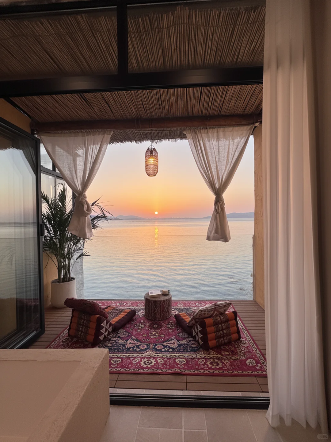 苏州新开，太湖私汤小院，海鸥零距离