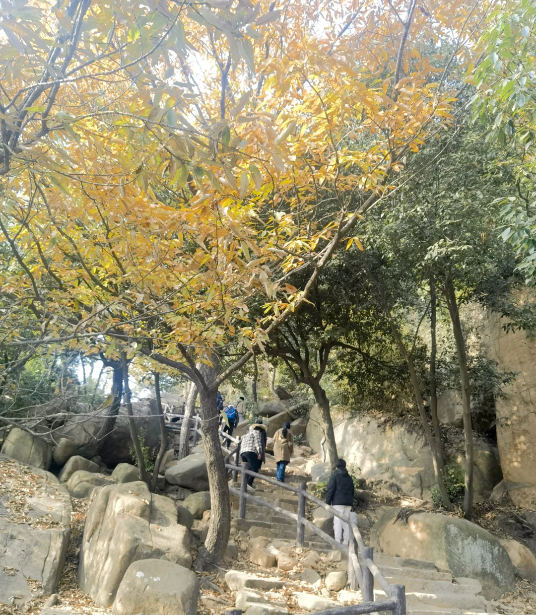 苏州特种兵一日游