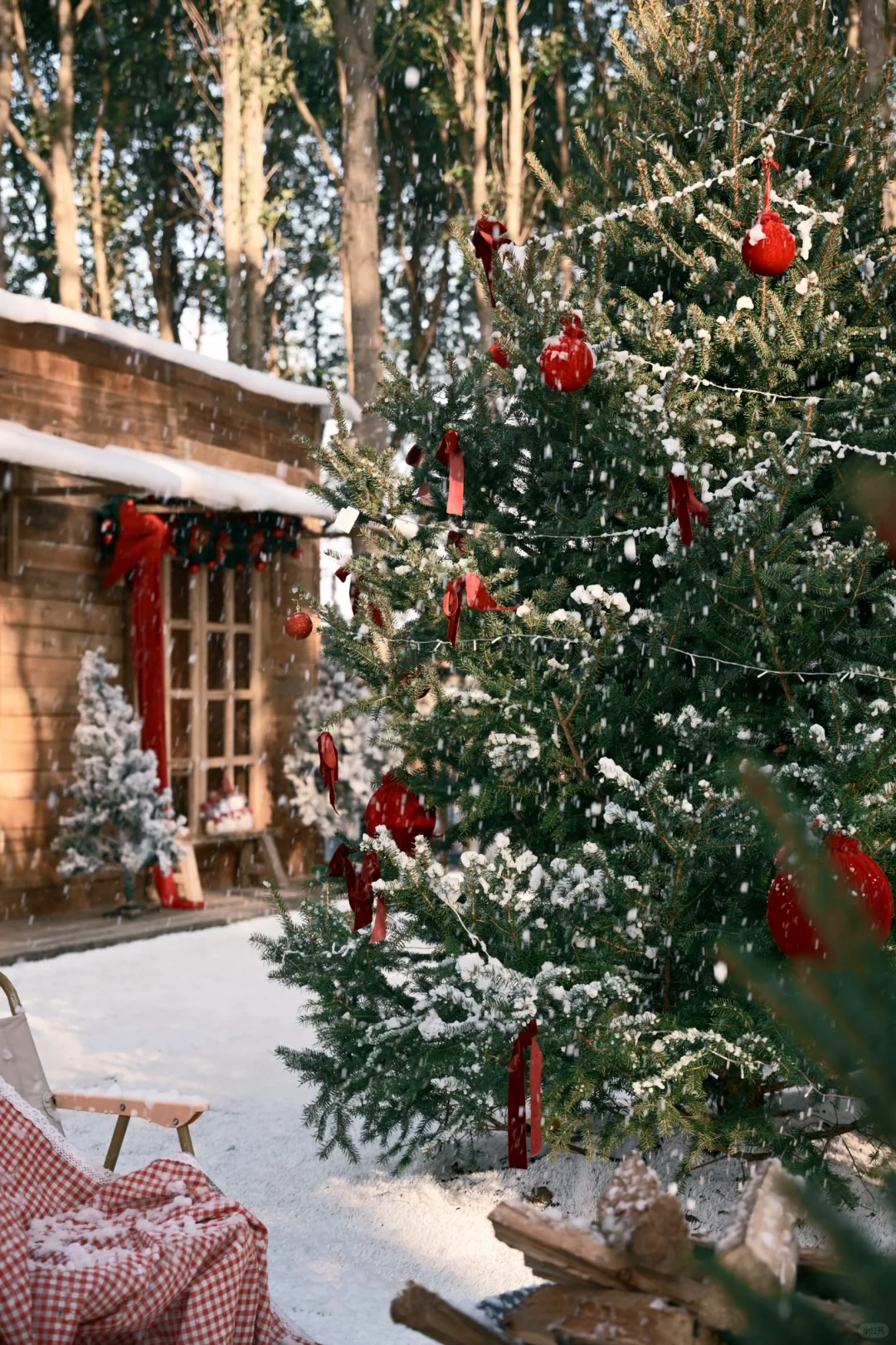 阳澄湖这里的飘雪，也太太太太太好拍了吧！！！
