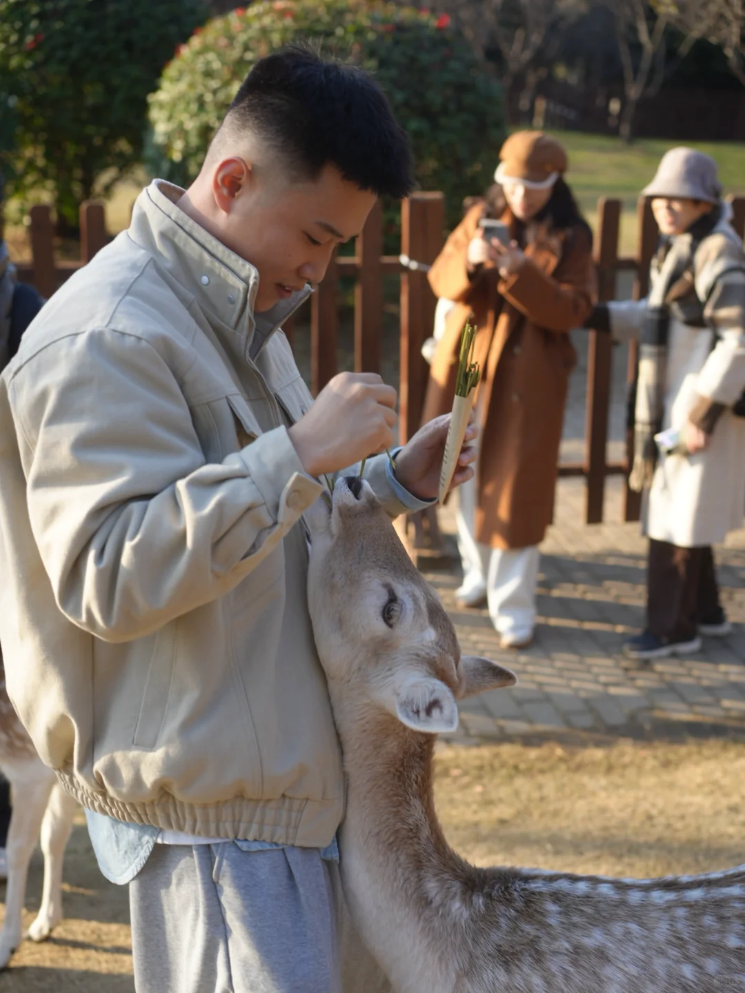 在南京5年去过最惊艳的地方