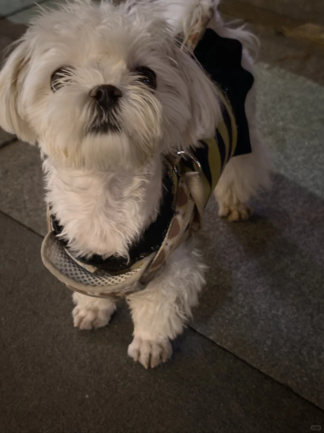 徐州徐州 我爱你