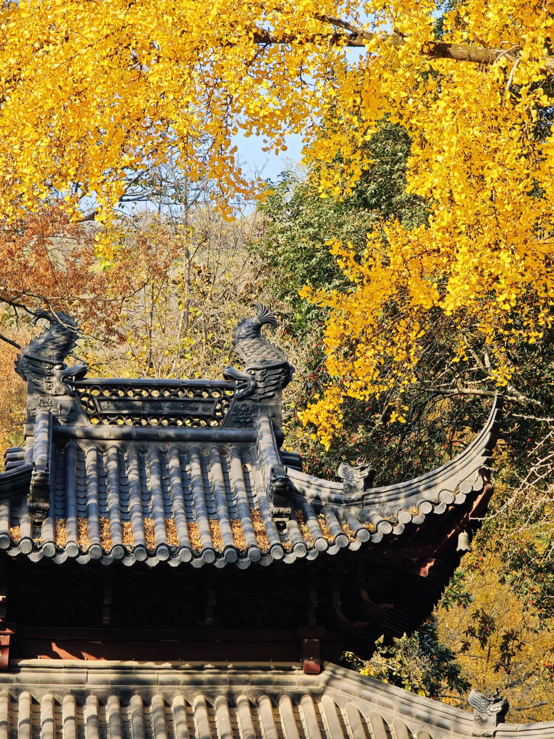 南京栖霞山最美时刻