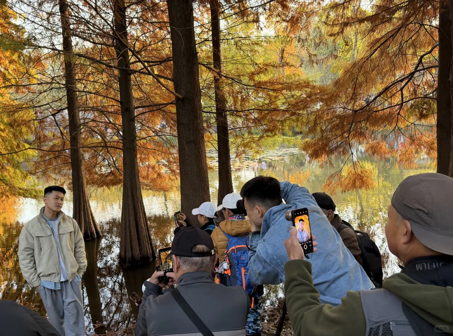 在南京5年去过最惊艳的地方