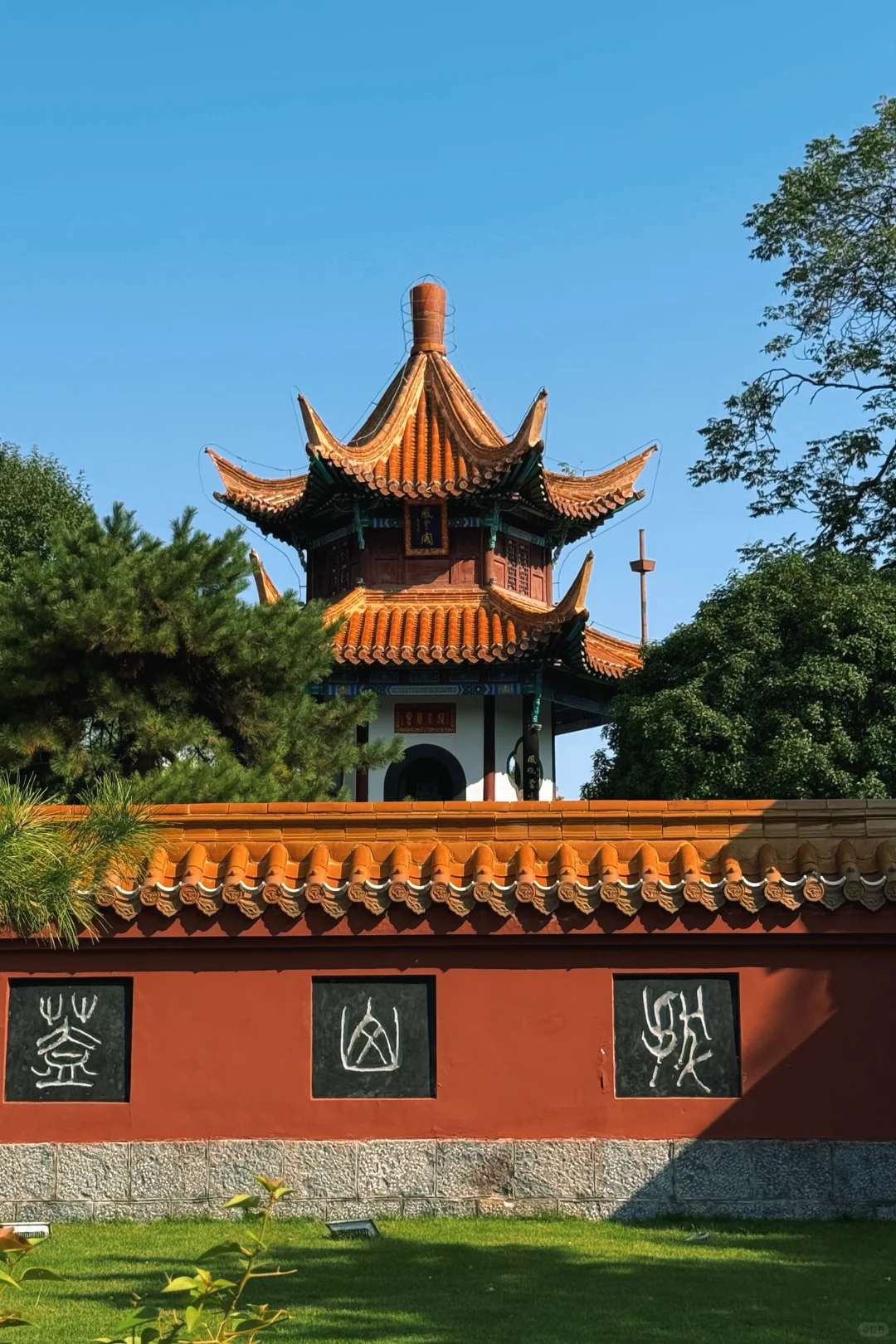 济南🚄1h 直达|徐州亲子游保姆攻略