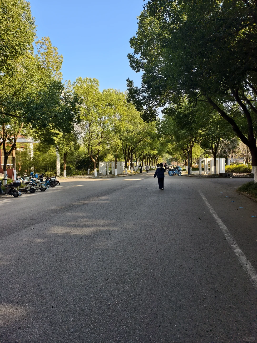 漫漫 慢慢 随便记记在南京的一天