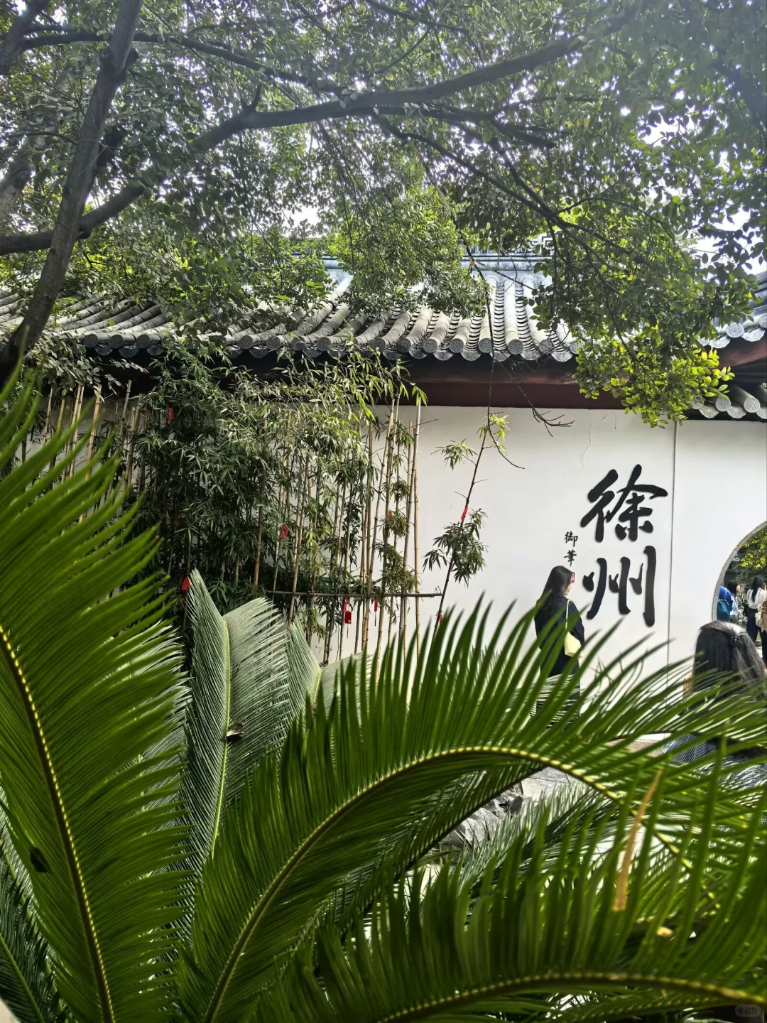 沈阳到徐州,周末特种兵之旅~~