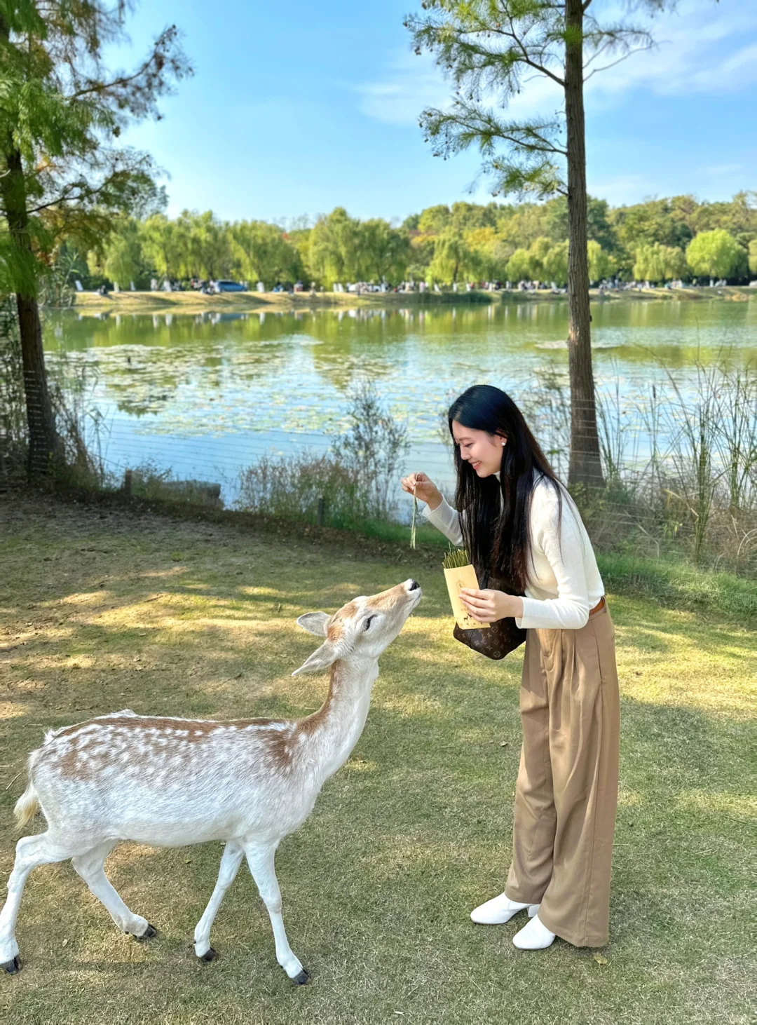 终于等到了12月的南京🍁