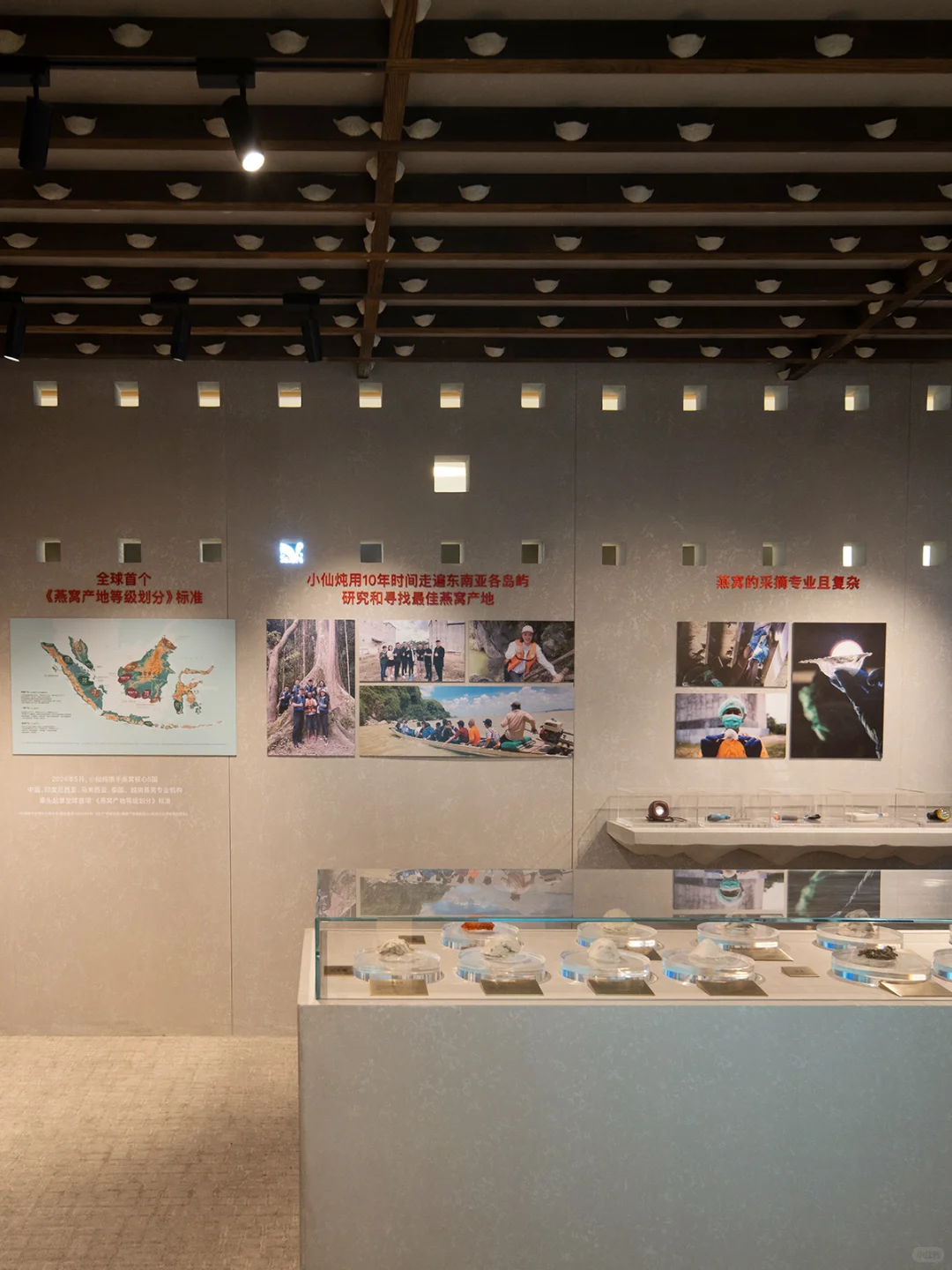 小仙炖「雨林珍宝」全球首展来南京啦🌿