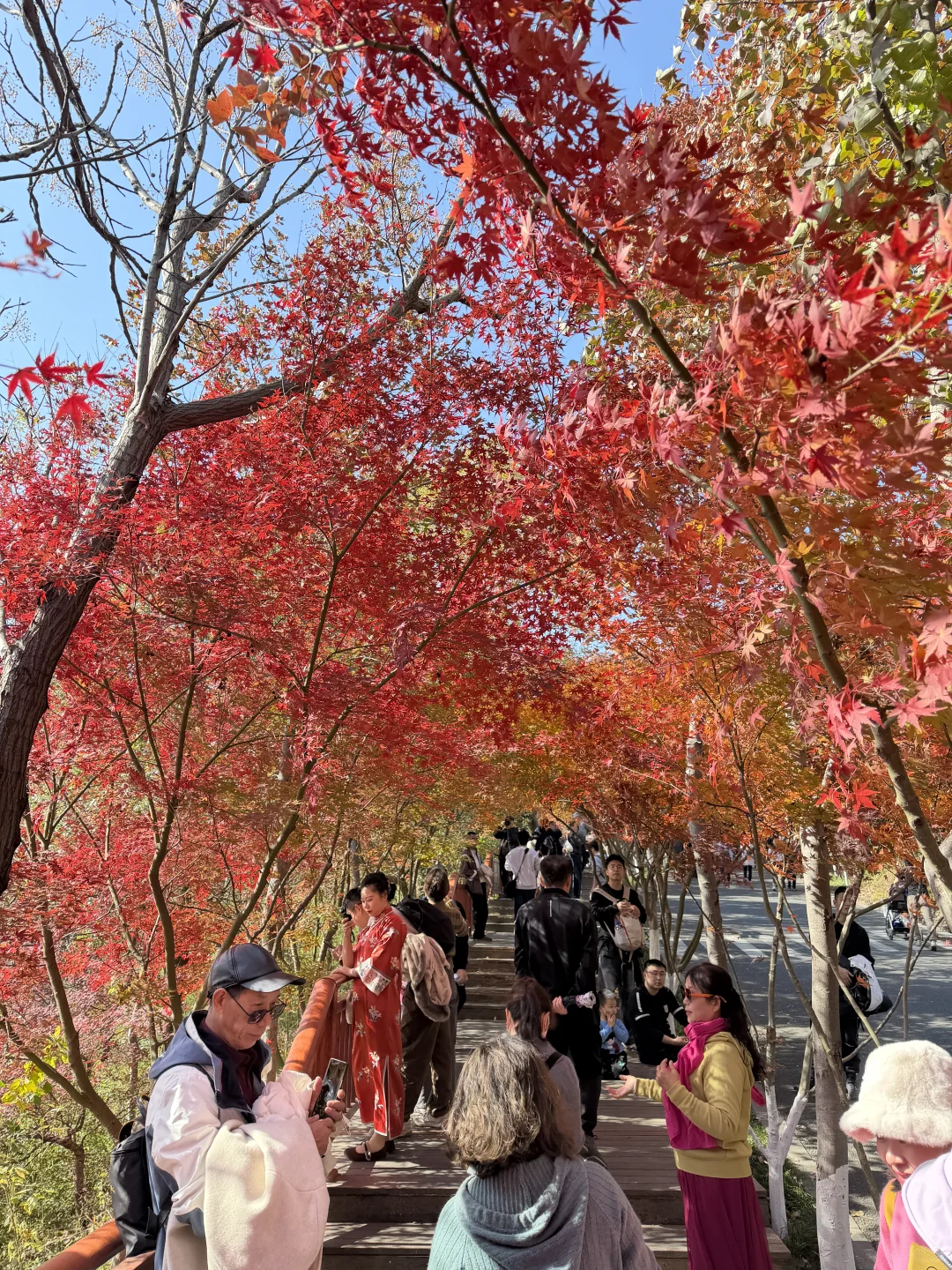 杭州周末往返南京 悠闲版