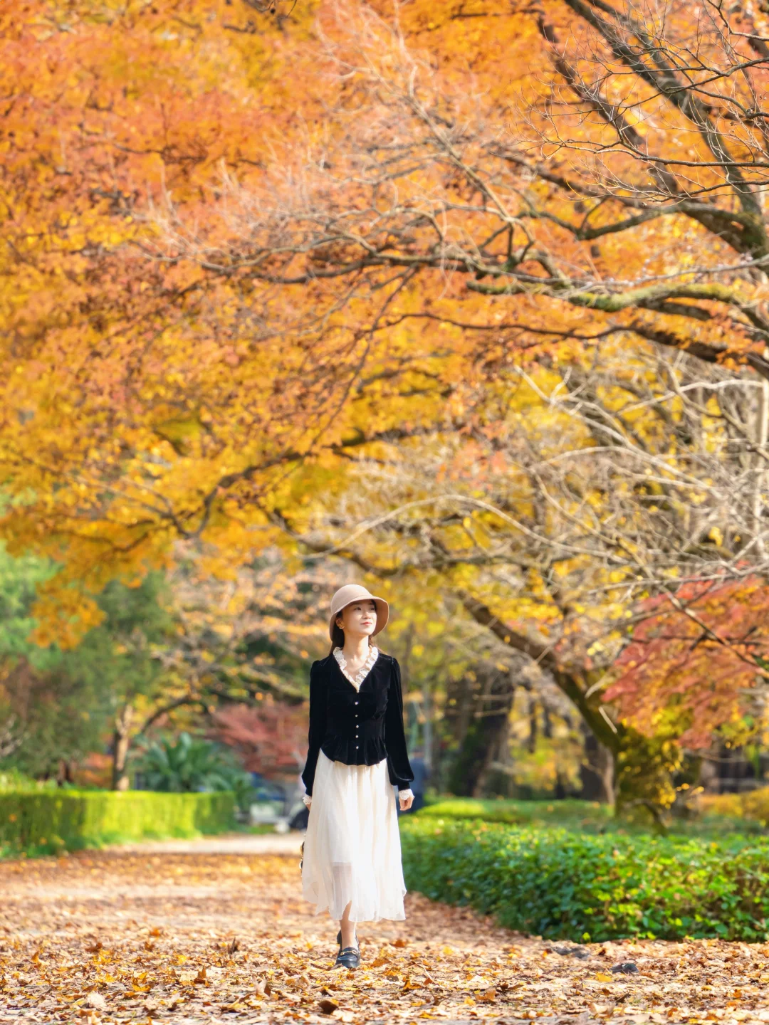 我宣布‼️没有一个城市比南京更懂秋天😭