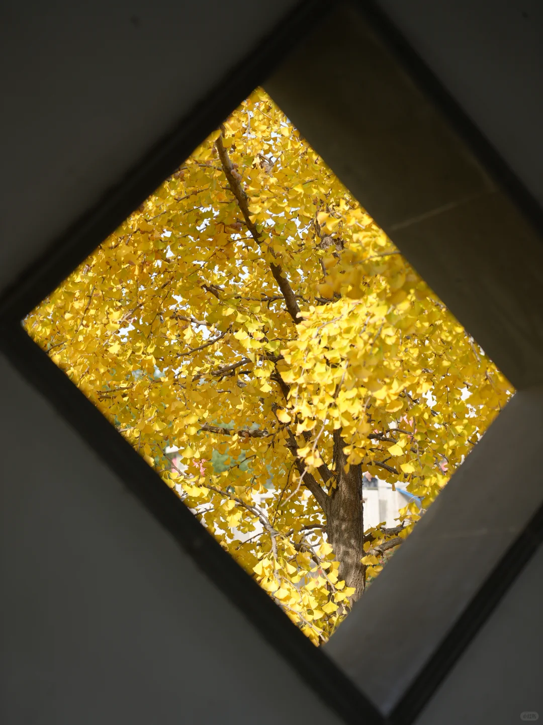 一个普通游客眼里的徐州（青岛出发🚄周末游）