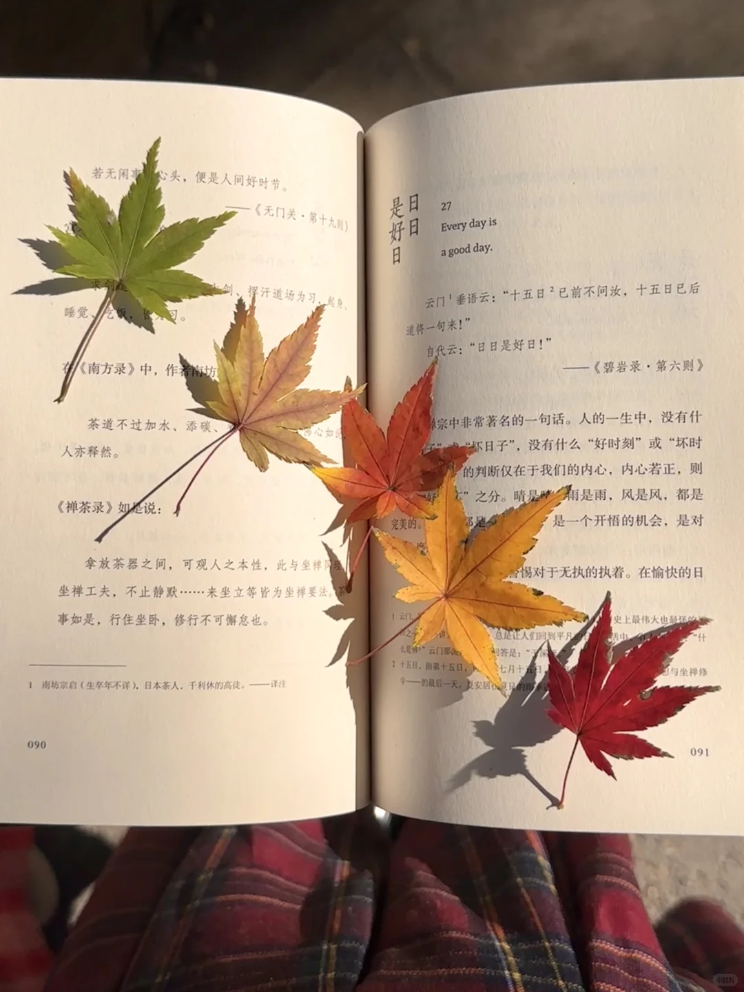 为了这1️⃣8️⃣张图，我特意秋天来了趟南京🍂