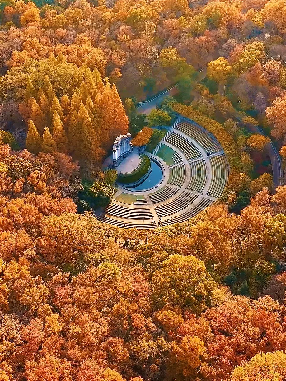 南京秋日封神‼️1️⃣8️⃣个出片机位朋友圈赞爆