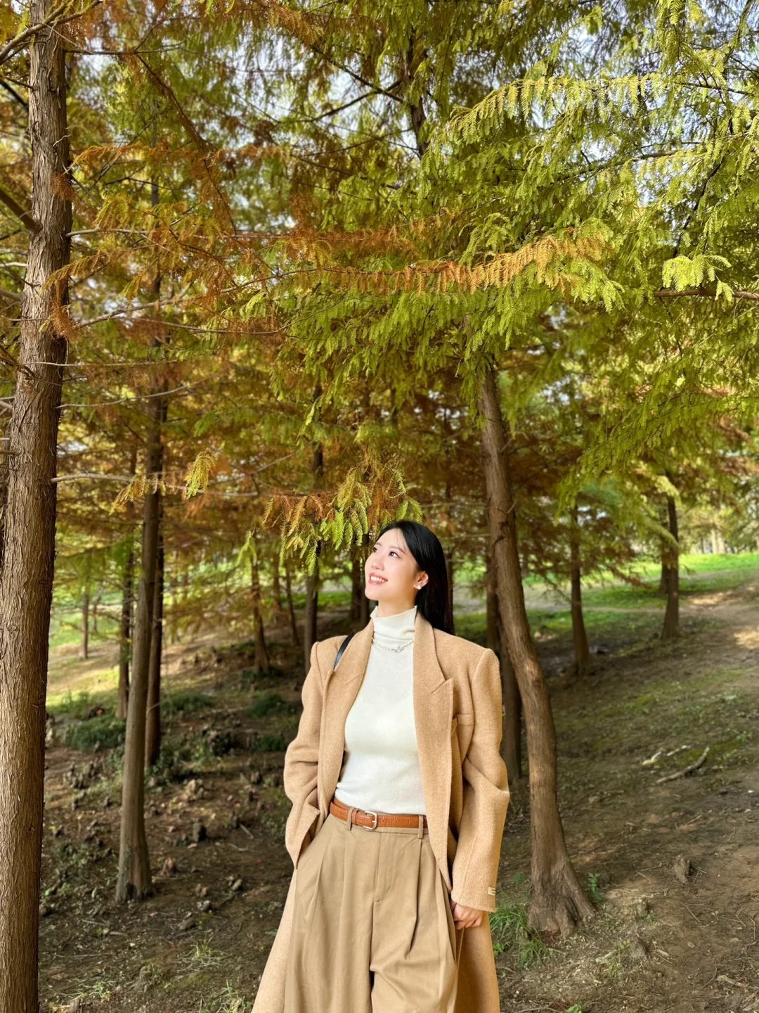 终于等到了12月的南京🍁