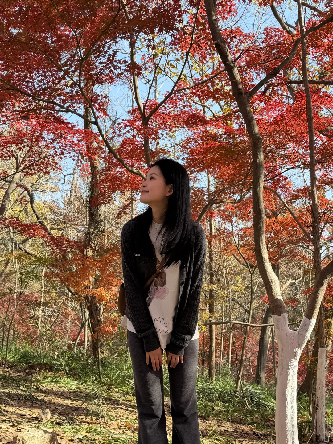 杭州周末往返南京 悠闲版