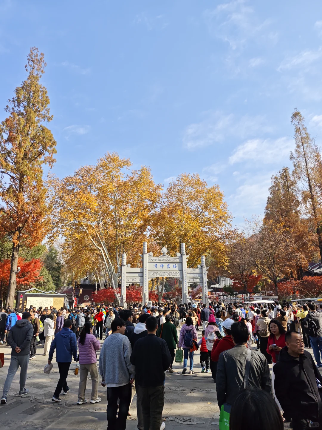 💥南京栖霞山周末来了一亿人！挤爆了～