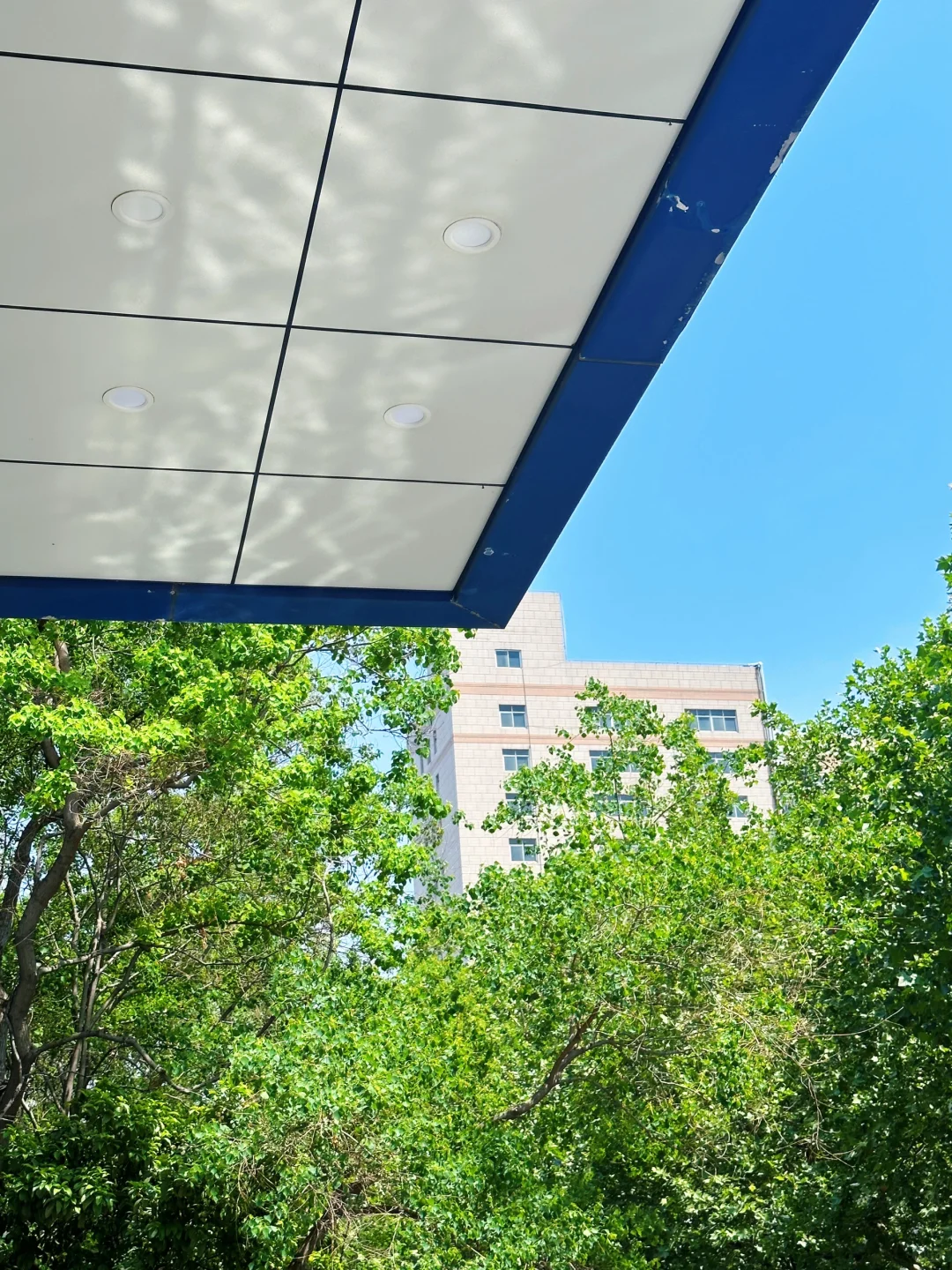 评论区说这是徐州最舒服的街道？