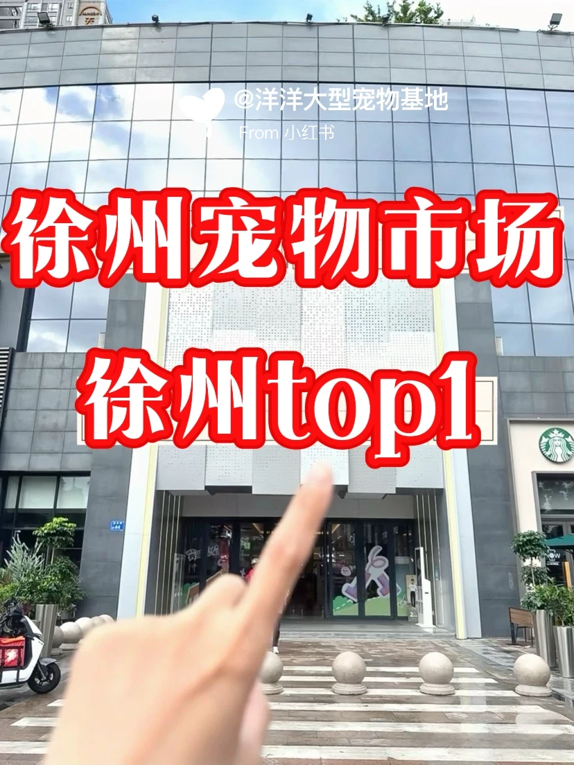 徐州宠物市场推荐🔥一只也是批发价✅