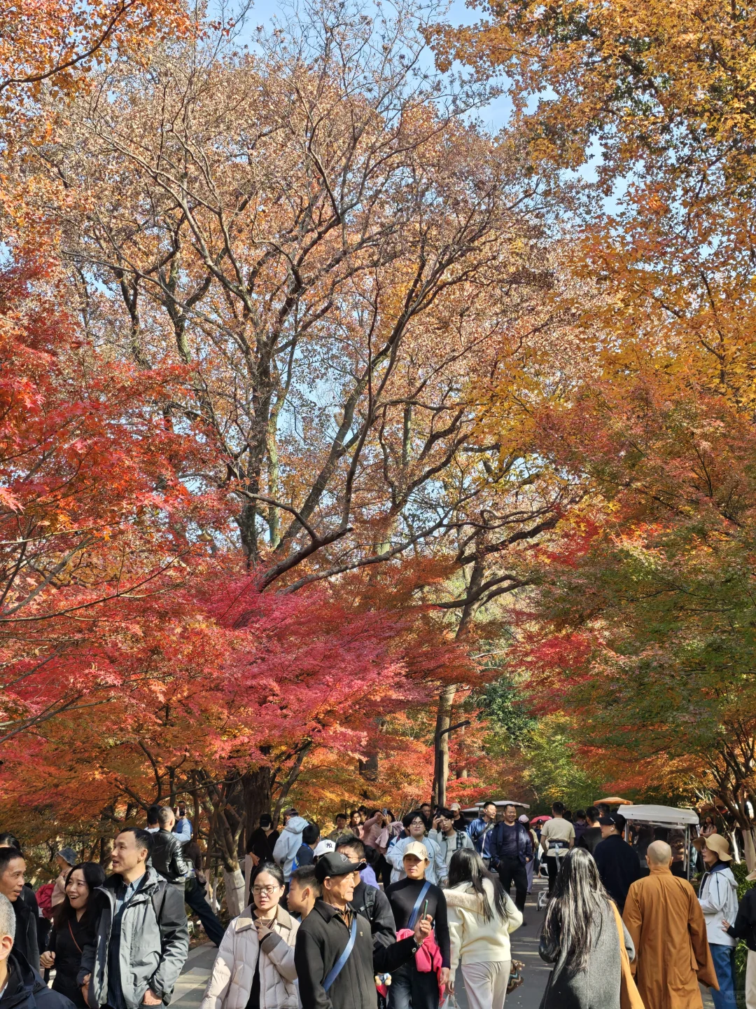 💥南京栖霞山周末来了一亿人！挤爆了～