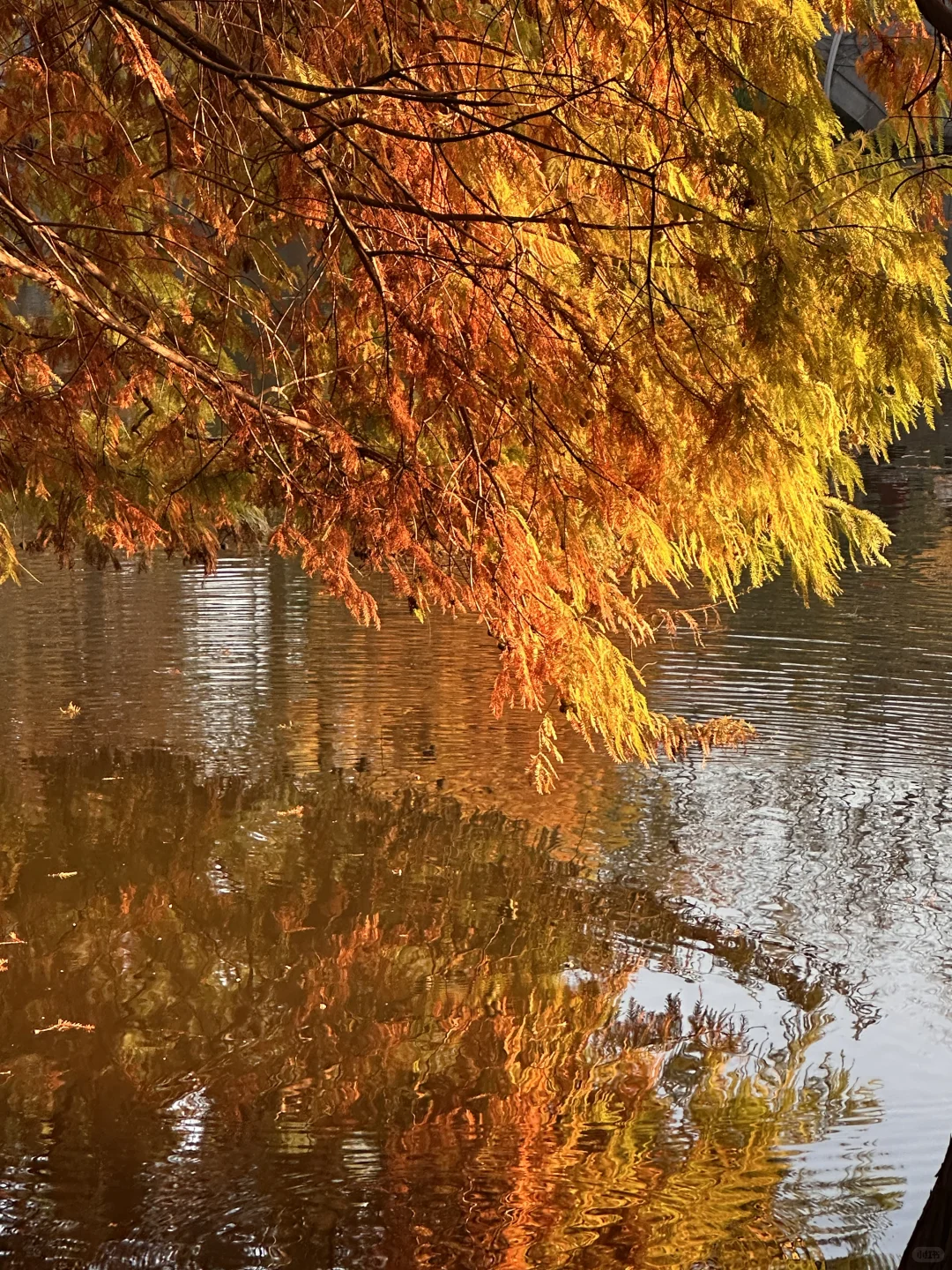 在南京5年去过最惊艳的地方