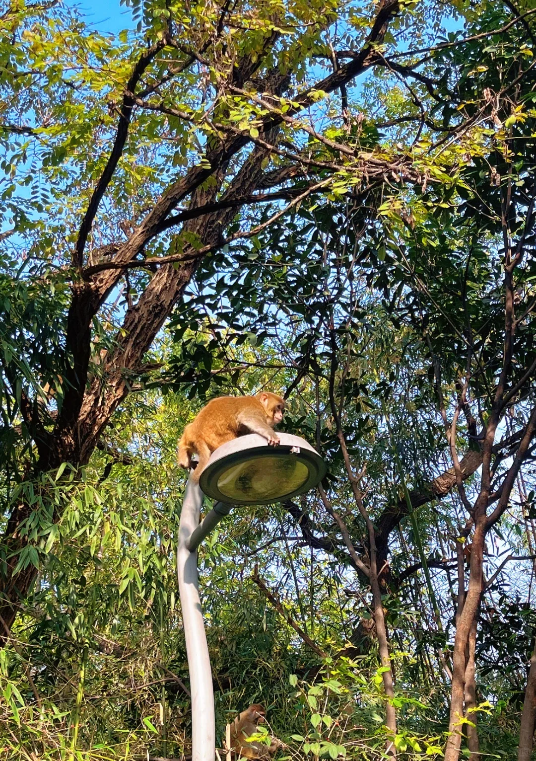 徐州户外徒步遛娃