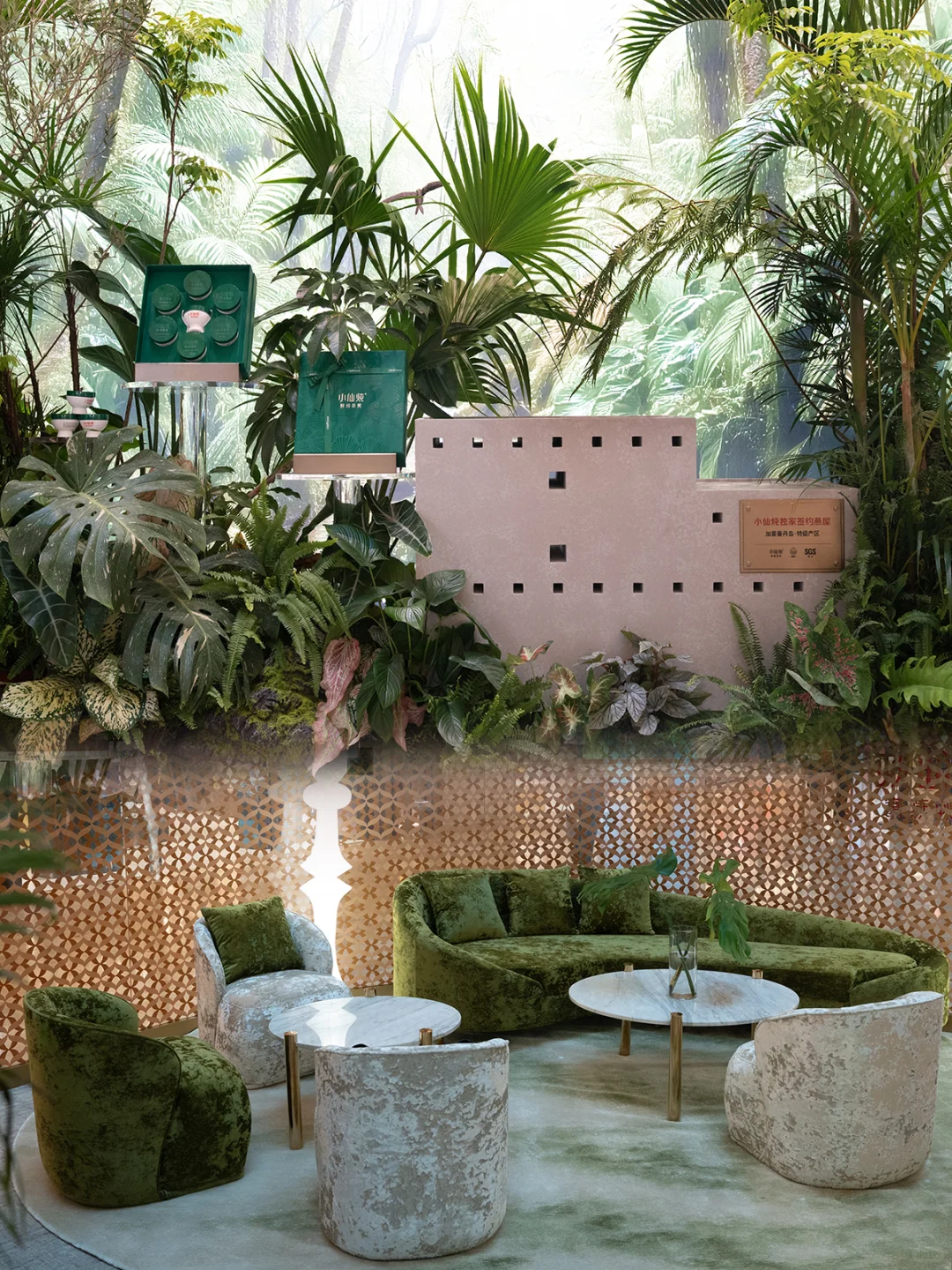 小仙炖「雨林珍宝」全球首展来南京啦🌿