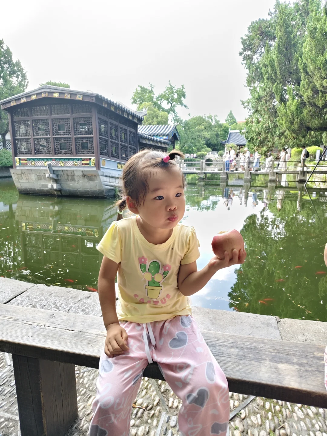 南京打卡‼️穿越百年的总统府