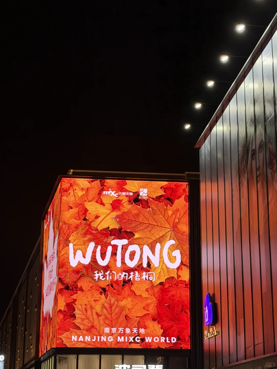 杭州周末往返南京 悠闲版