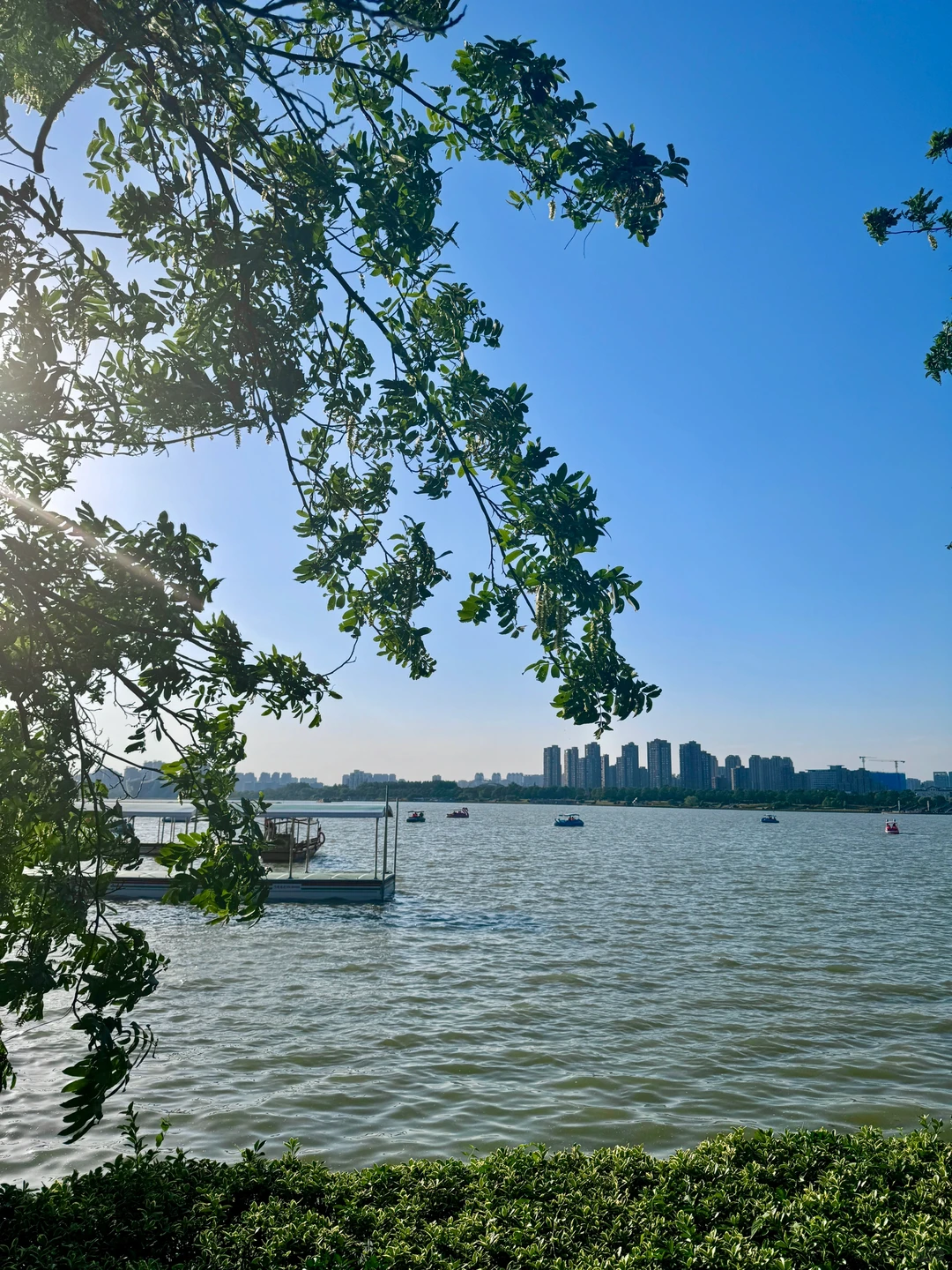 因为这个🚡❗️❗️来到了徐州🌆