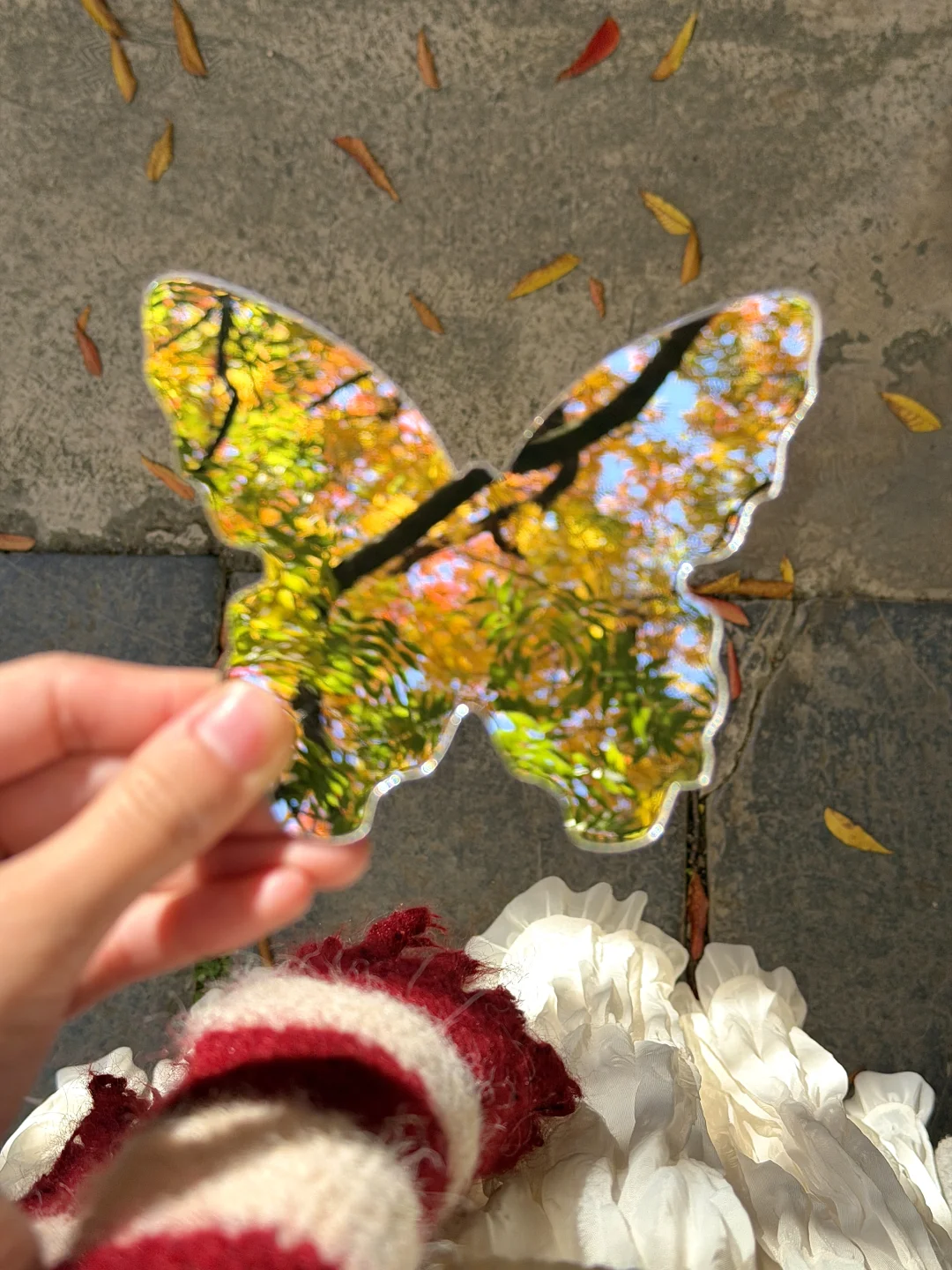 为了这1️⃣8️⃣张图，我特意秋天来了趟南京🍂