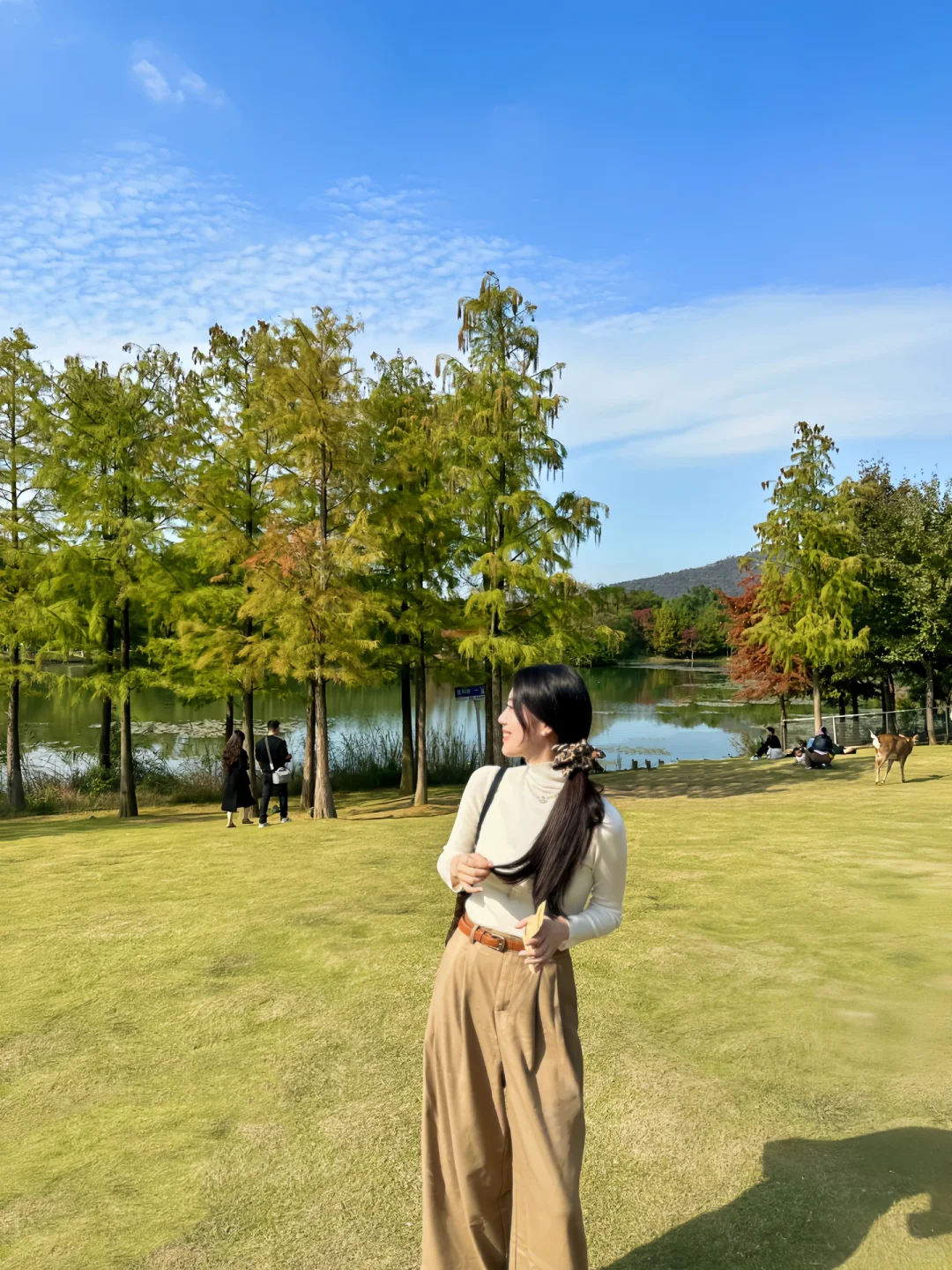 终于等到了12月的南京🍁