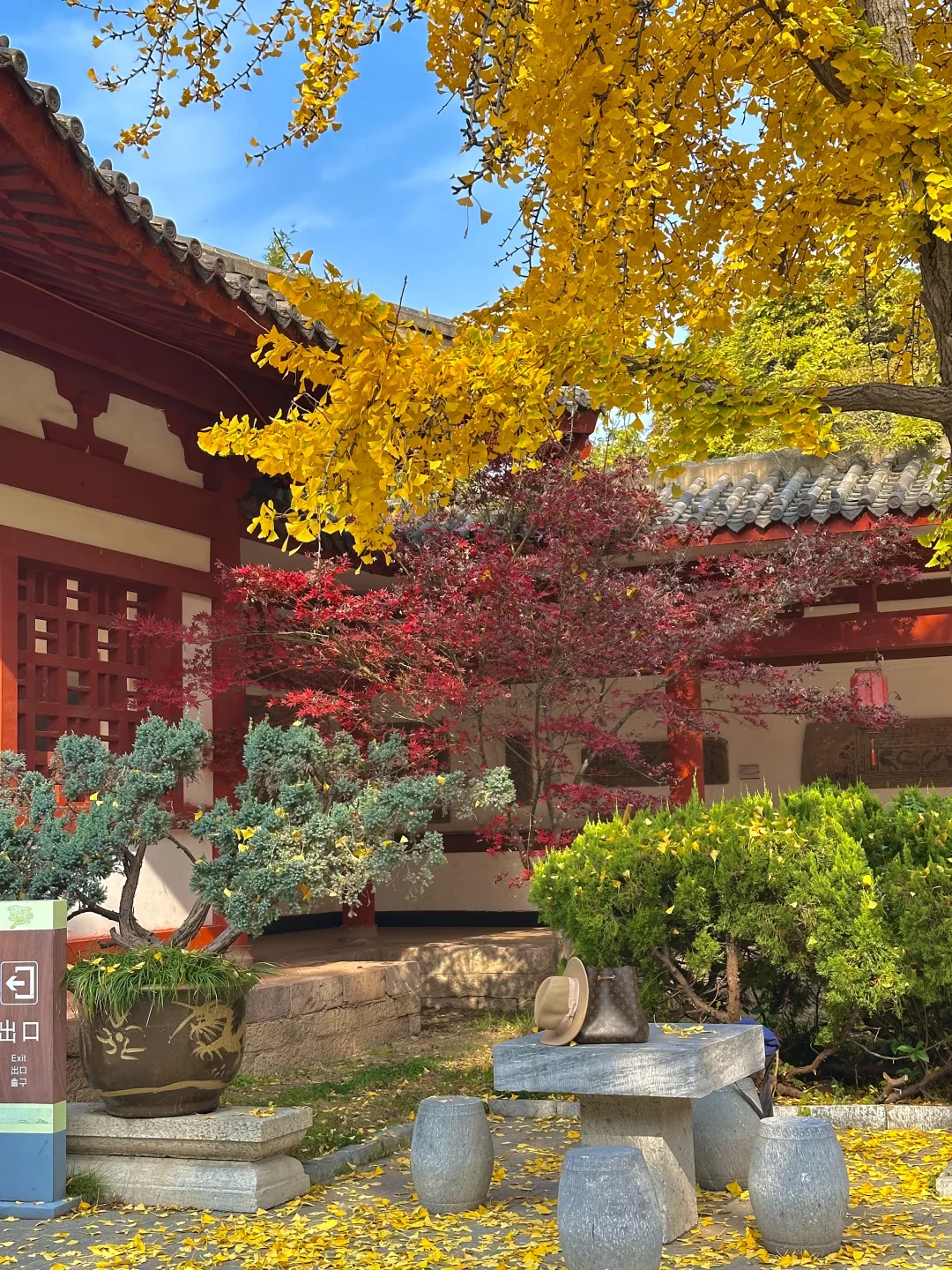 一个普通游客眼里的徐州（青岛出发🚄周末游）