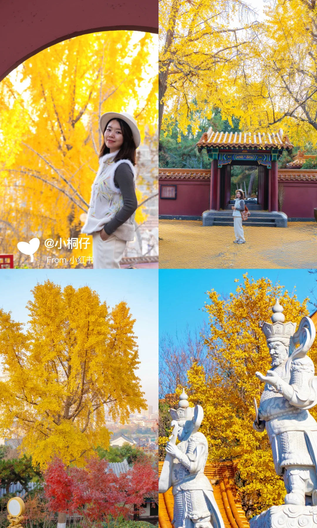 北京出发，挑战周末出去玩（37/100）📍徐州🌆