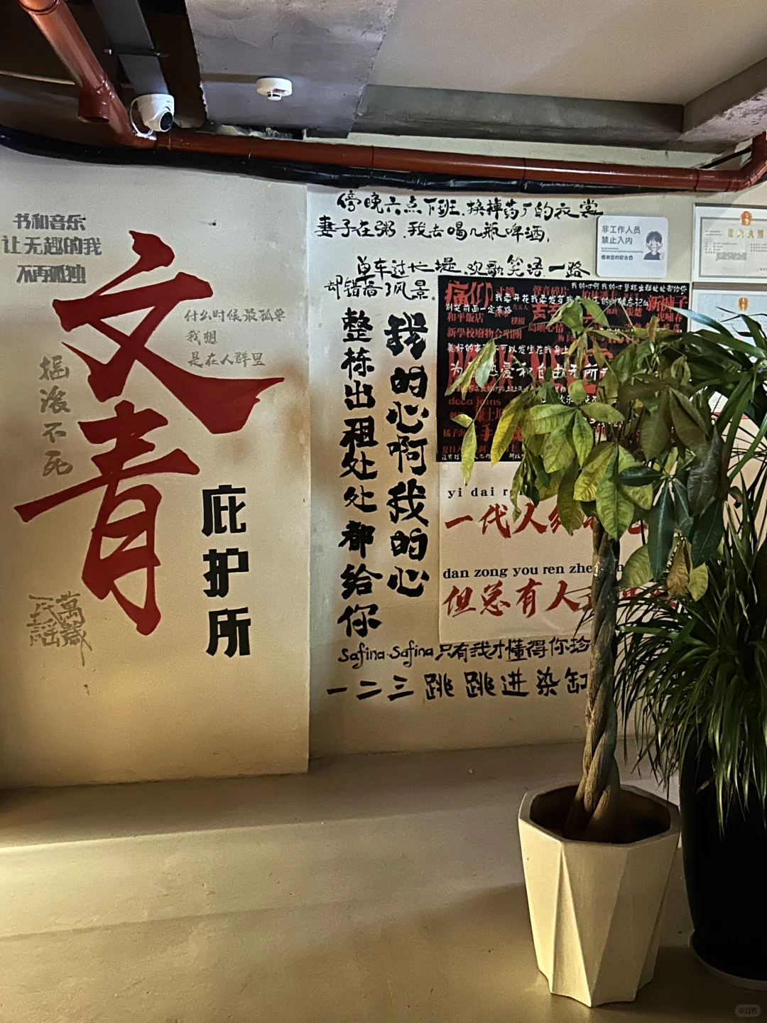 徐州现实版乌托邦🥹🥹（一定要去！！