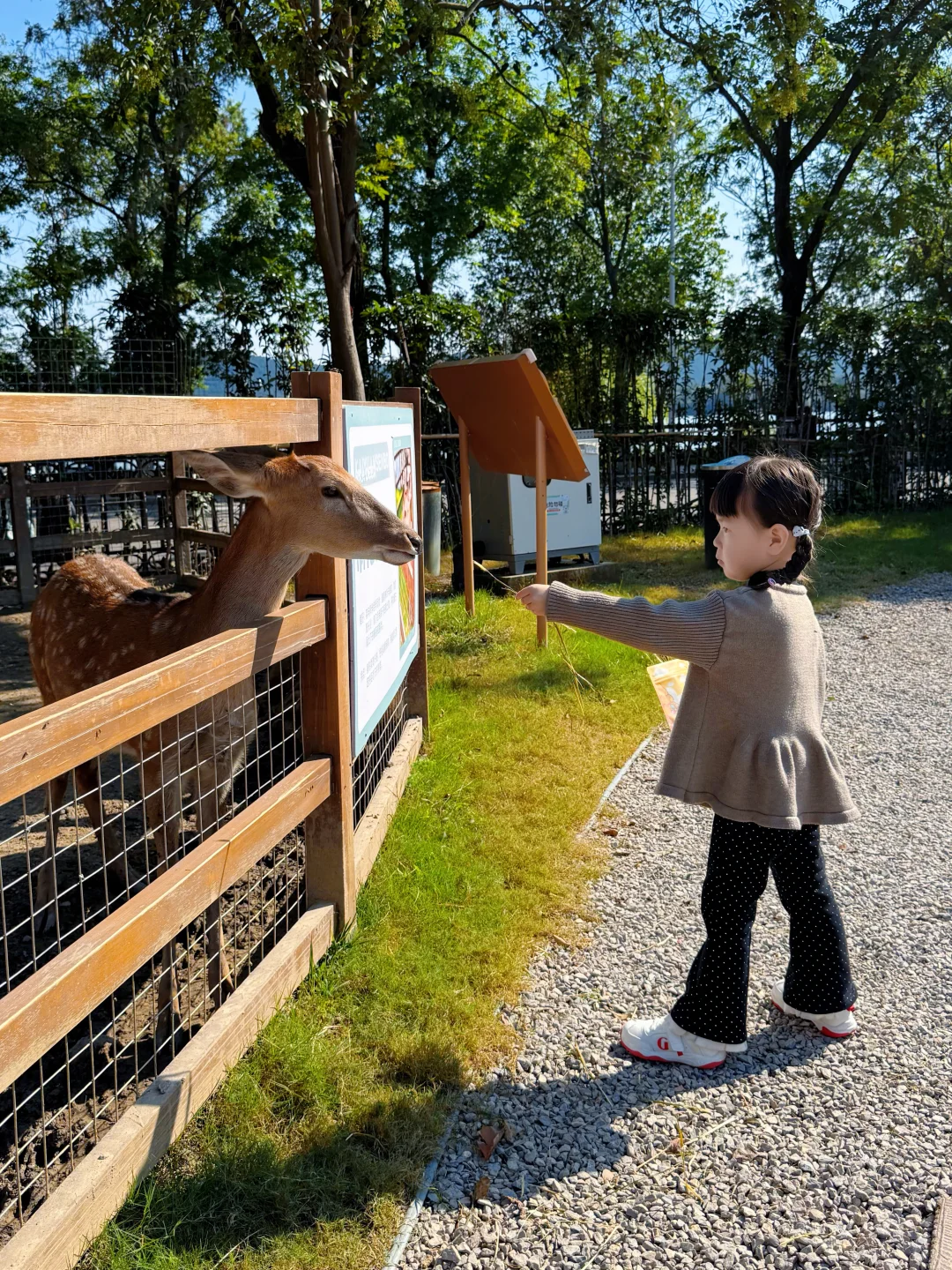 济南🚄1h 直达|徐州亲子游保姆攻略