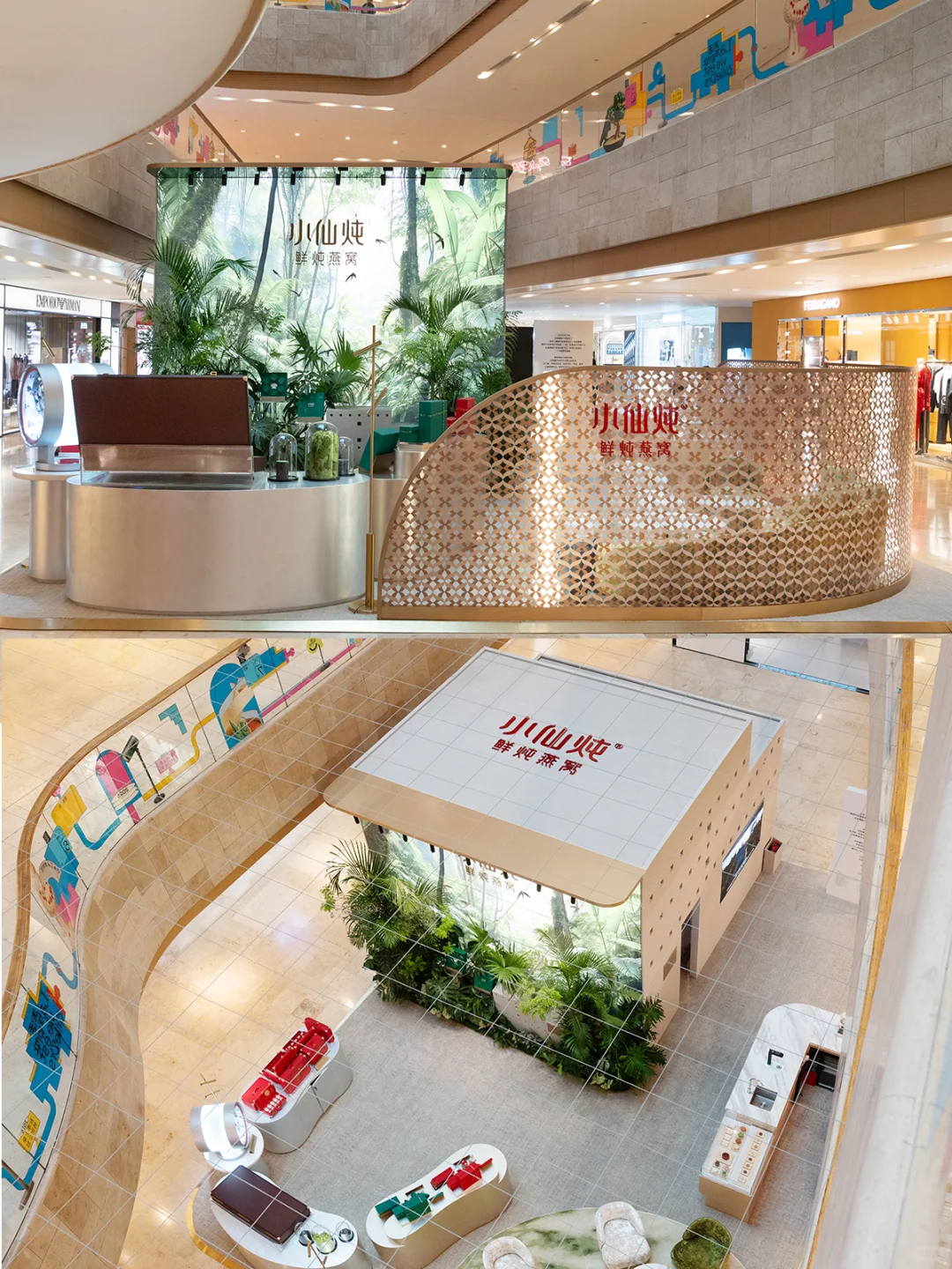 小仙炖「雨林珍宝」全球首展来南京啦🌿