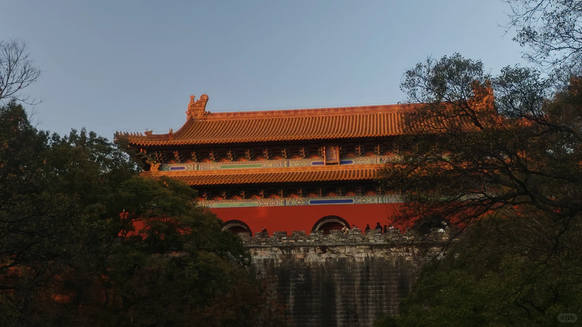 南京，美的滴尿！