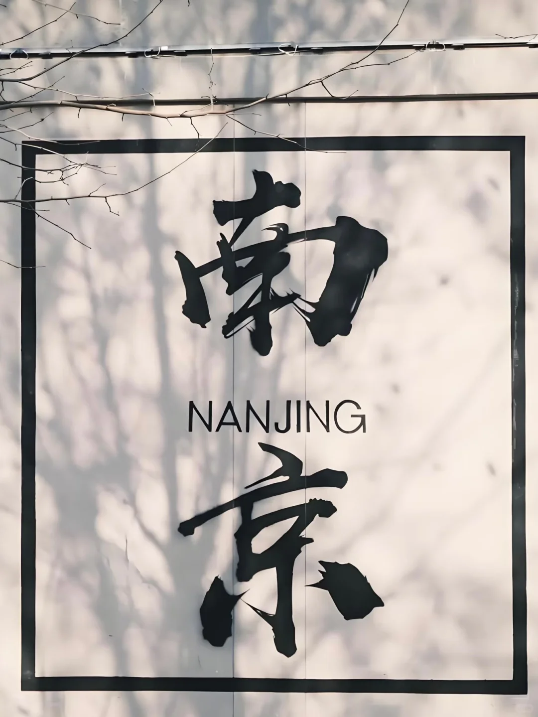 在南京，这面墙把金陵的浪漫都写满了！