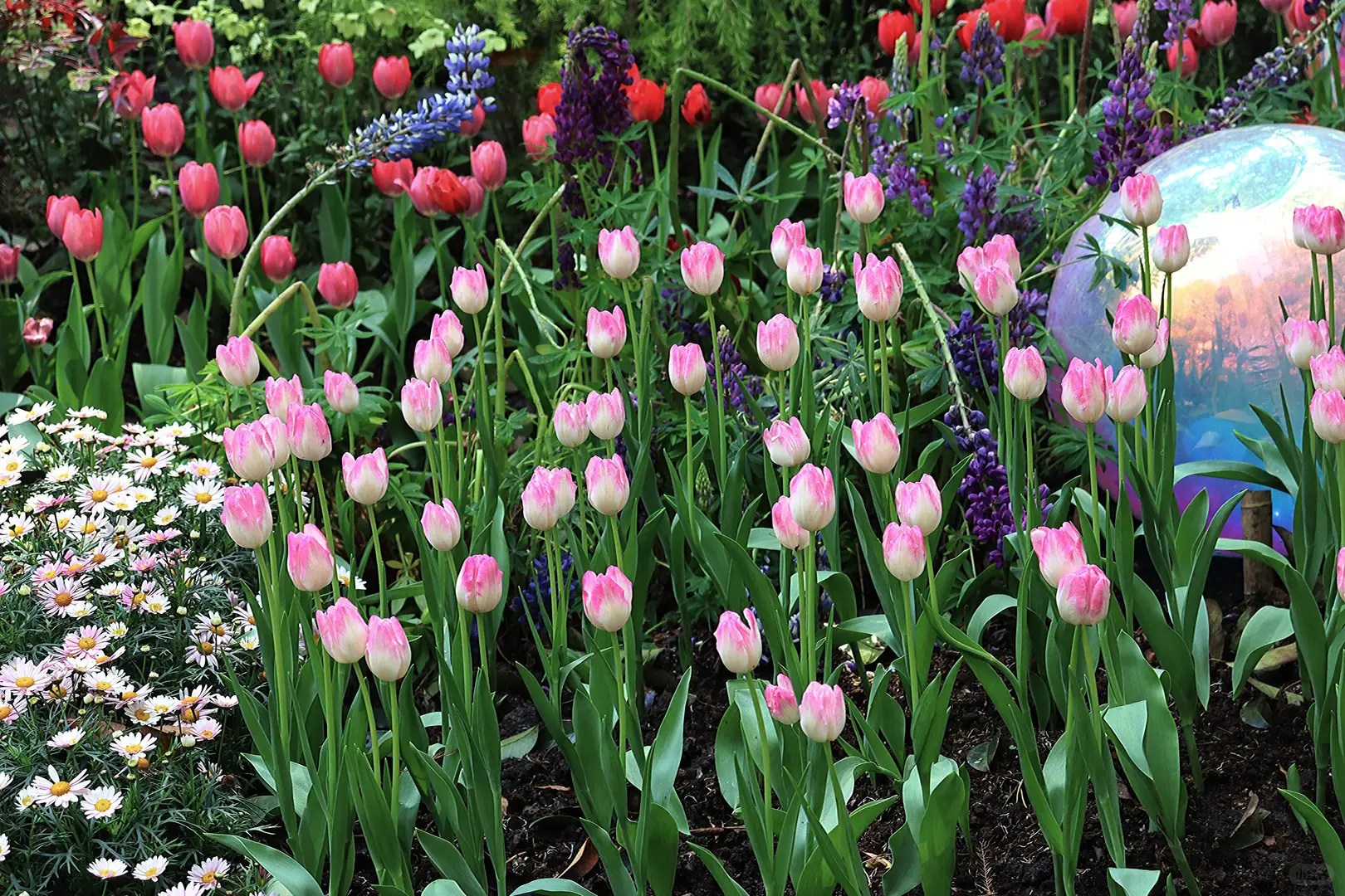 如果我在徐州只有两个小时可活动时间