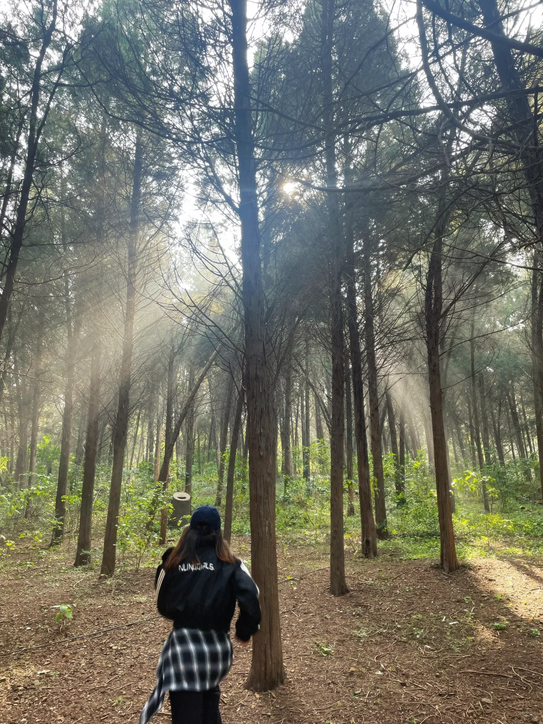 徐州户外徒步遛娃