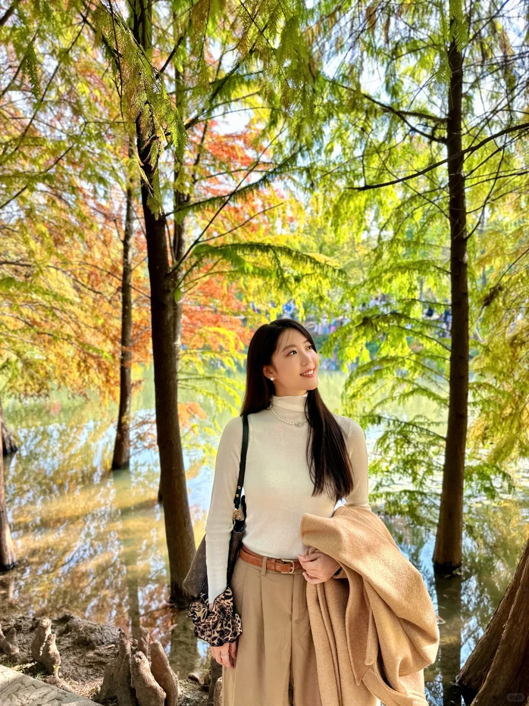 终于等到了12月的南京🍁