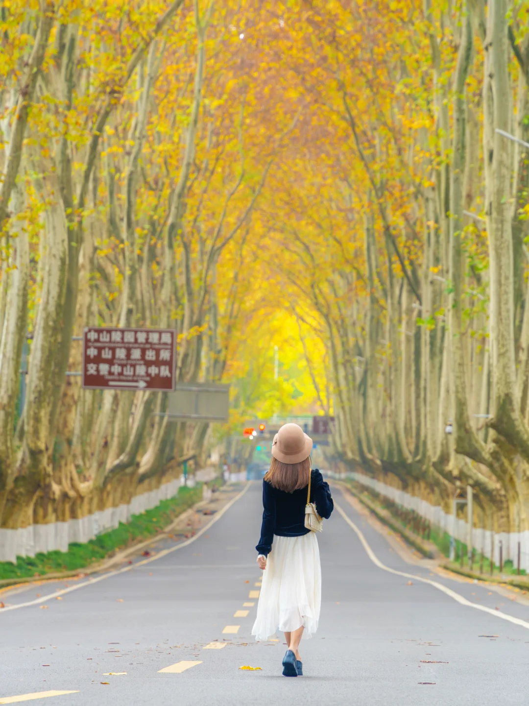 我宣布‼️没有一个城市比南京更懂秋天😭