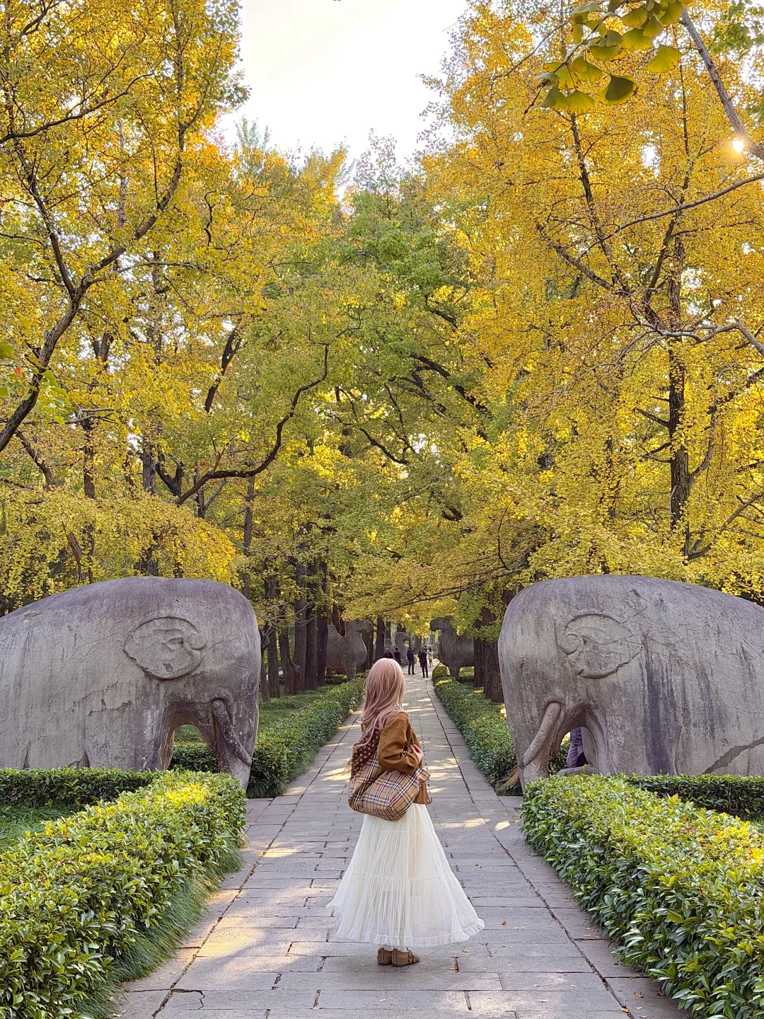 为了这1️⃣8️⃣张图，我特意秋天来了趟南京🍂