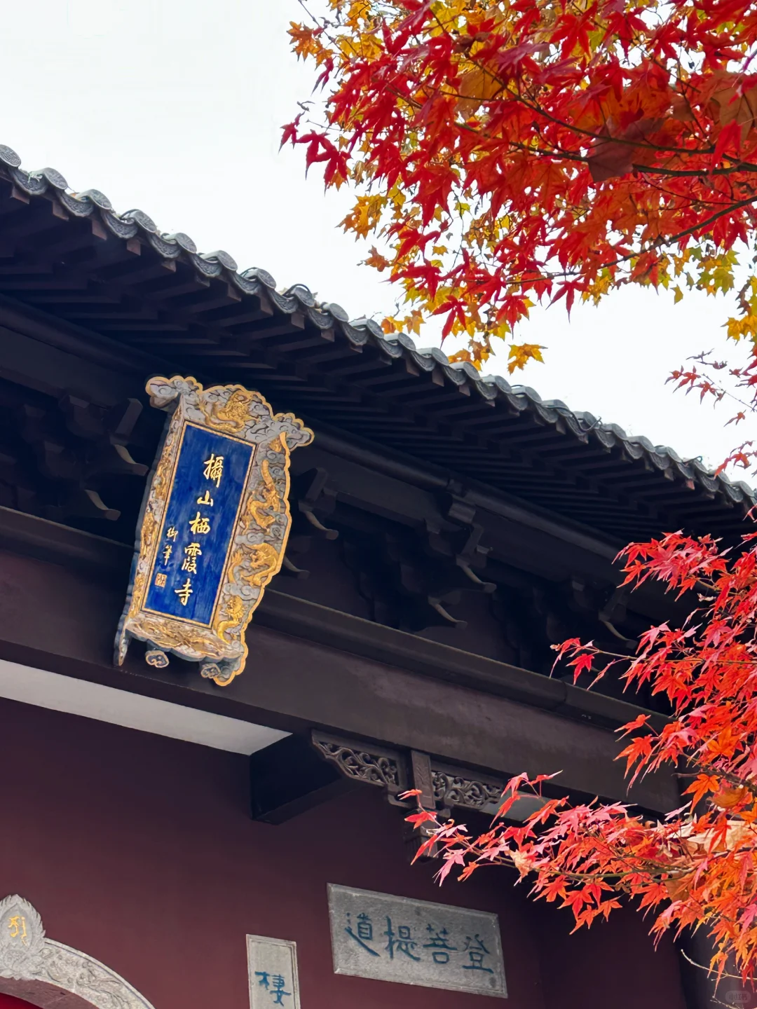 12.02南京栖霞山实况live（免票版）