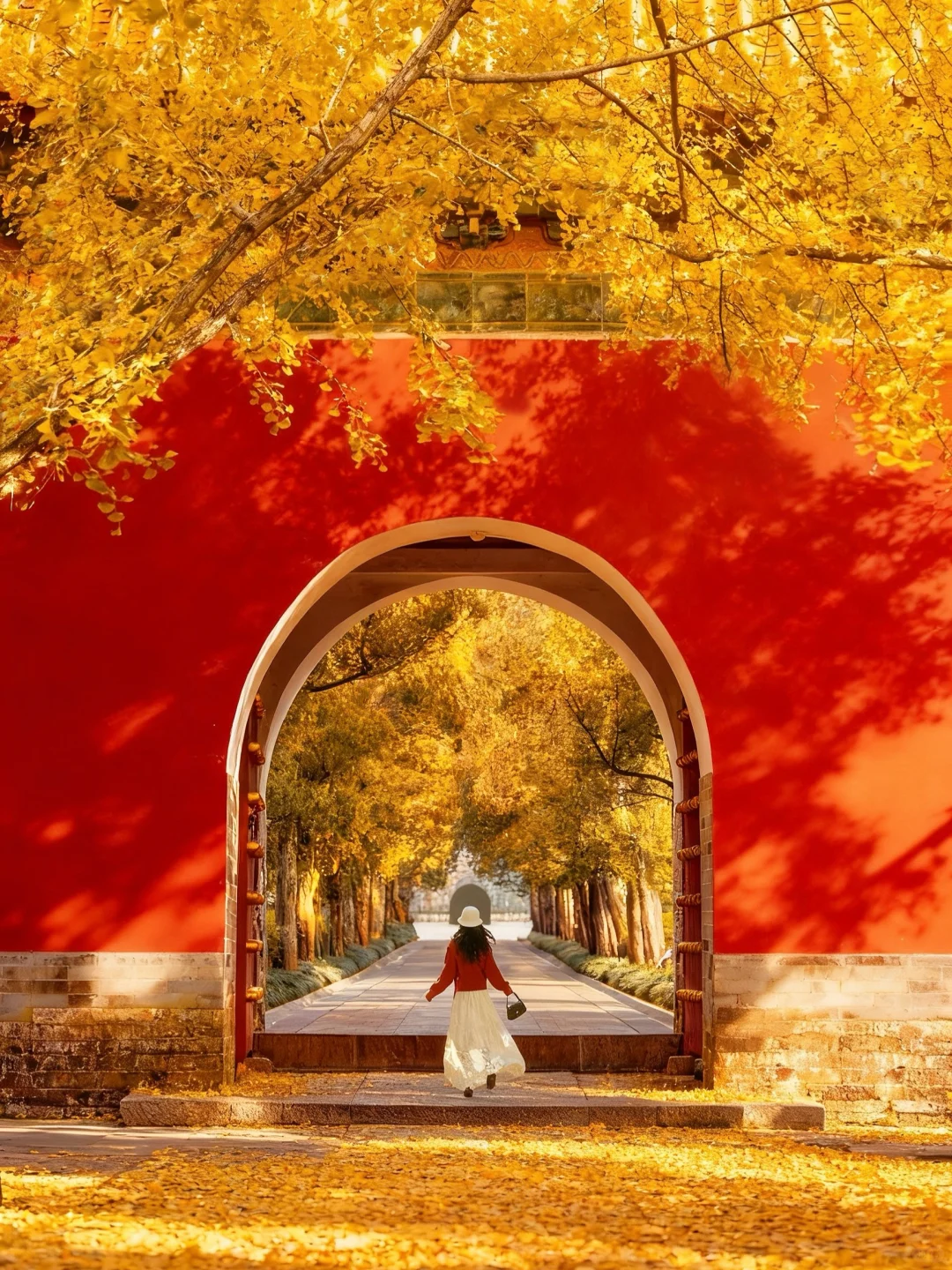 南京秋日封神‼️1️⃣8️⃣个出片机位朋友圈赞爆