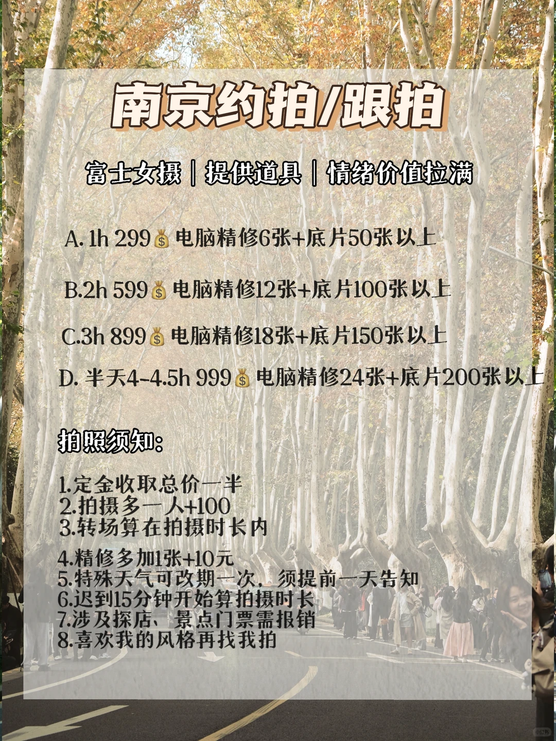 12.3梧桐大道黄叶进度95% 实时游客穿搭