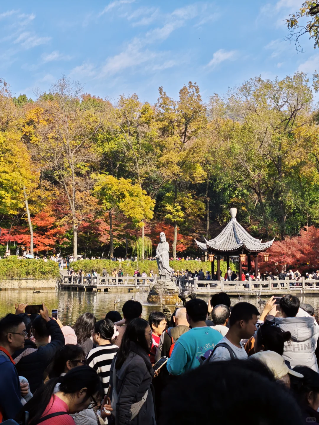 💥南京栖霞山周末来了一亿人！挤爆了～